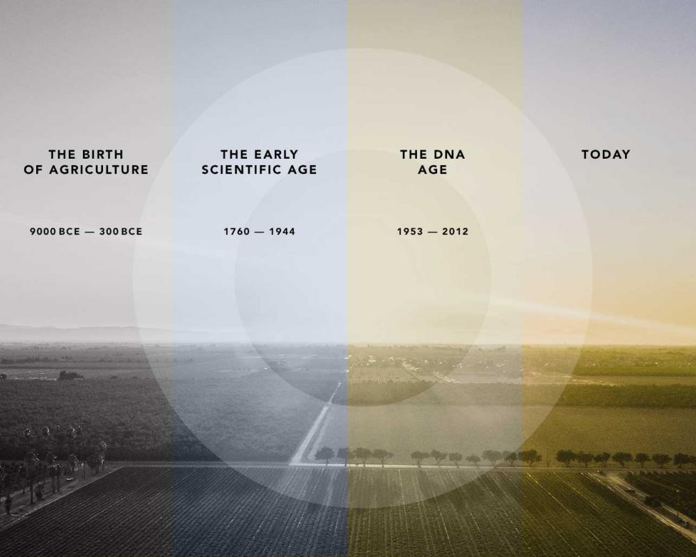 Interactive Timeline