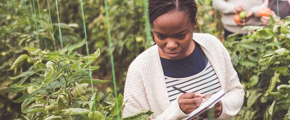 researcher in greenhouse