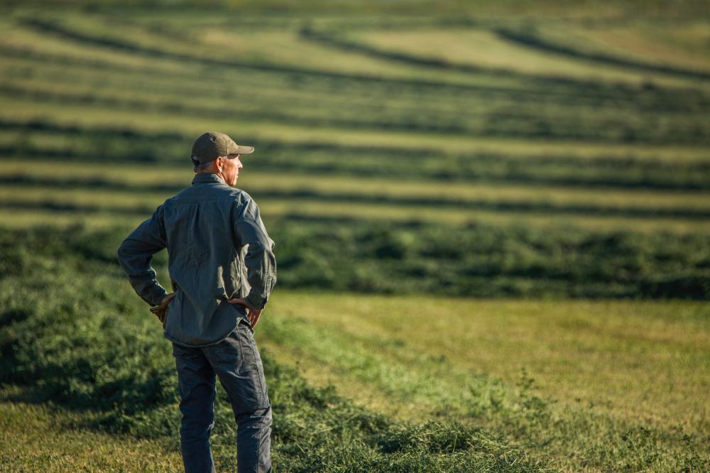 farmer in field