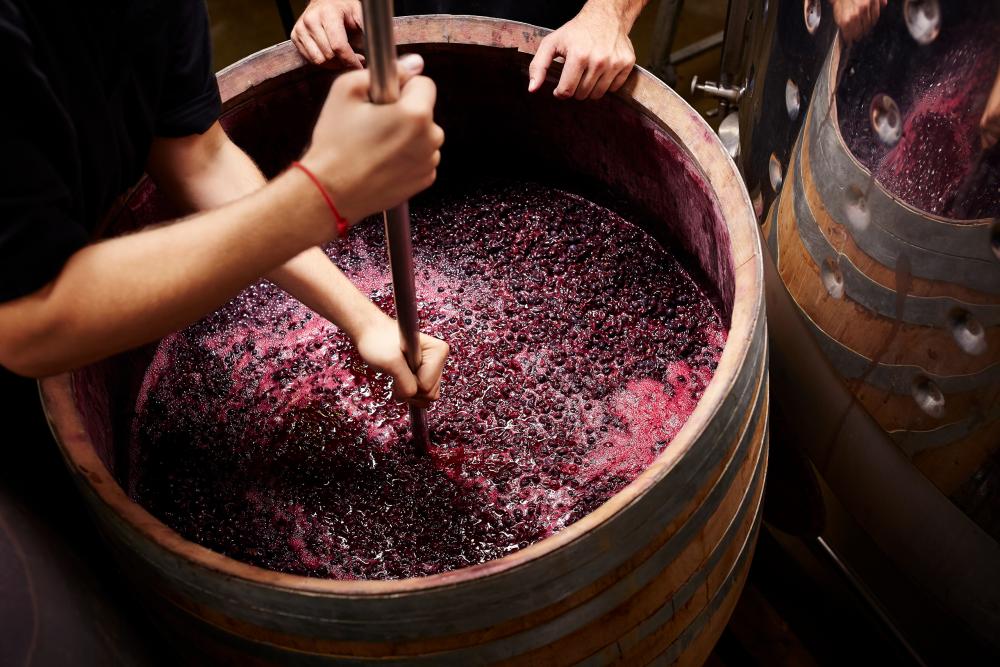wine-grapes