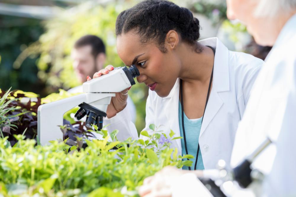 Scientist Looking Through Microscope