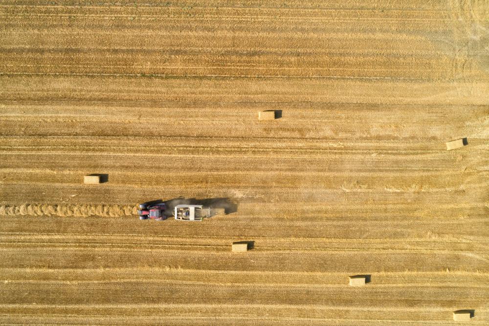 tractor-in-hay