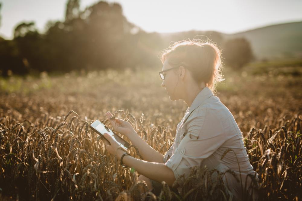 woman-in-field