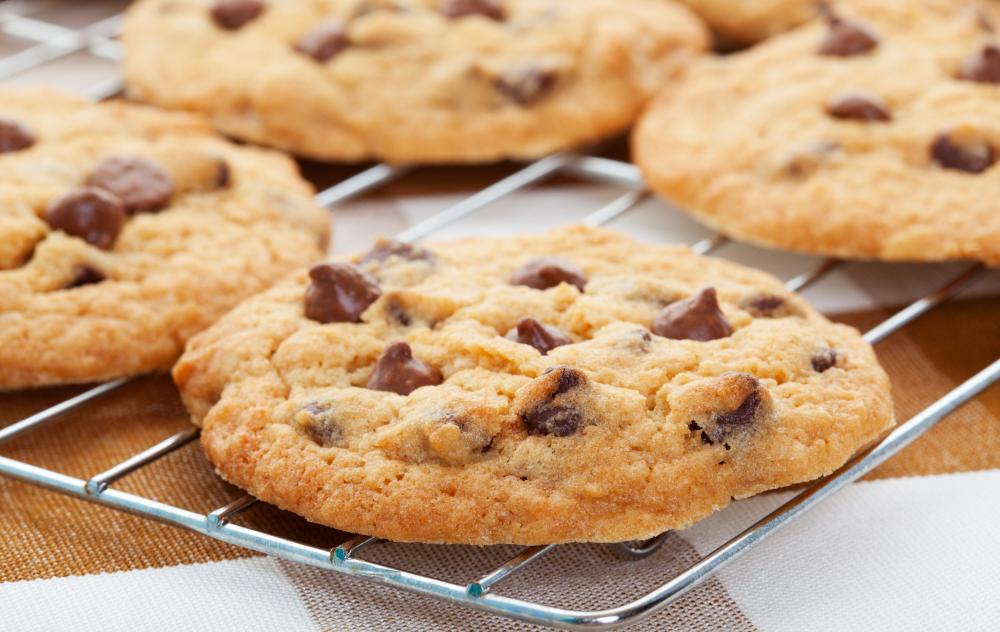 Chocolate Chip Cookie