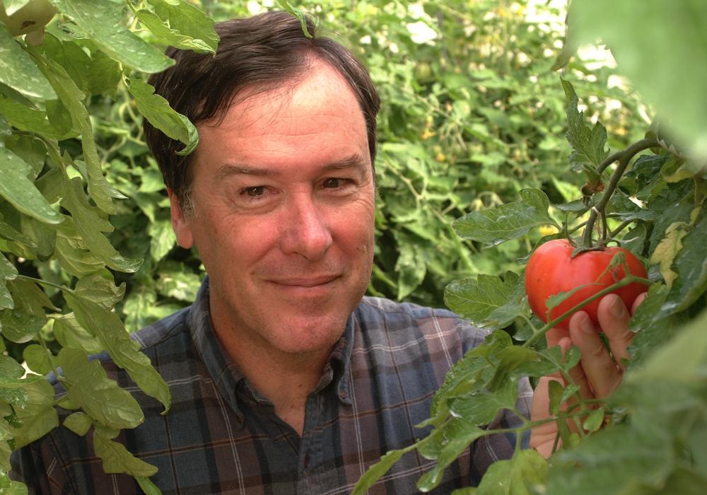 A man surrounded by green leaves holding a tomato