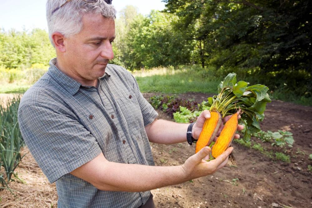 dr irwin stands in a field holding a new beet variety